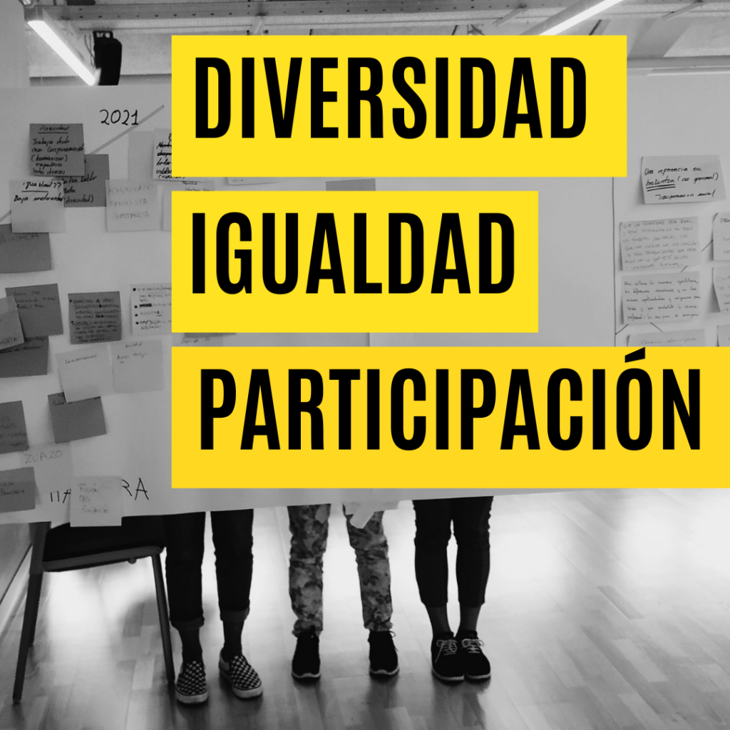 diversidad igualdad y participación